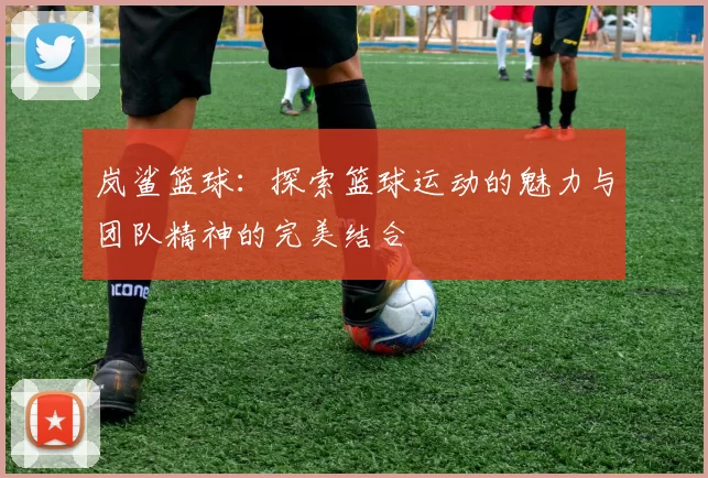 岚鲨篮球：探索篮球运动的魅力与团队精神的完美结合