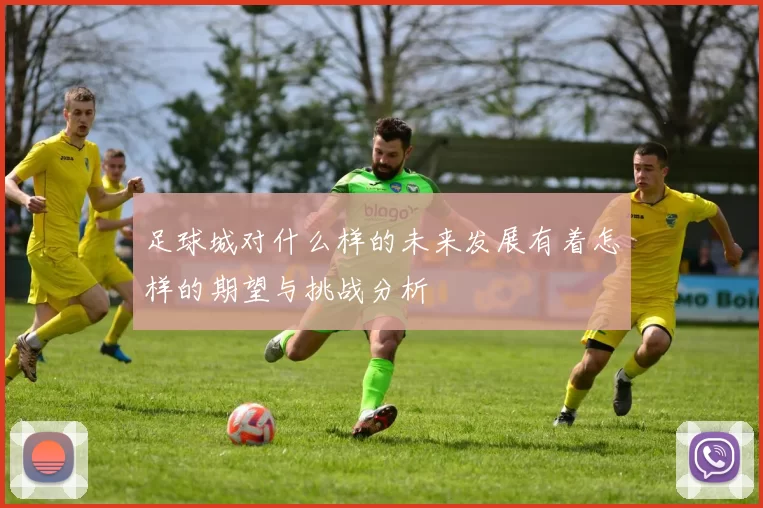 足球城对什么样的未来发展有着怎样的期望与挑战分析