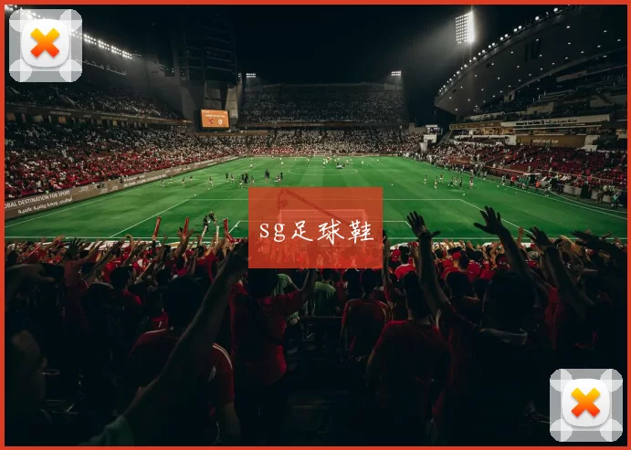 sg足球鞋