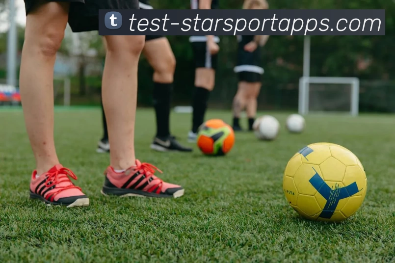 星空体育平台生态图